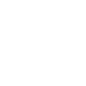 Logo-Bestbuy